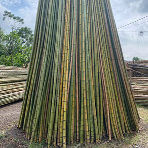 Vietnam Wholesale Bamboo Plant <b>Support</b> Sticks Small Diameter Bamboo Stakes Manufacturer Dried Bamboo <b>Tomato</b> Stakes - Product Image 5