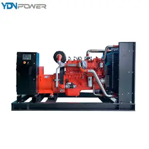 Customized Rain Proof CE Main Power Supply Gas Well Use 150KW Cng Generator Set With Cummins Engine
