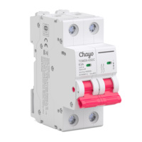 Disjoncteur solaire photovoltaïque DC MCB 1P 2P 4P sur rail DIN pour boîtier de combinaison de chaînes photovoltaïques, système de batterie OEM ODM CE Chayo