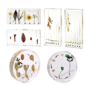 Collection de spécimens botaniques professionnels pour la <span class=keywords><strong>recherche</strong></span> et l'éducation - Product Image 1