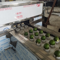 Machine de découpe de noyau de graine de pierre de noyau de prunier Offre Spéciale, machine de retrait de noyau de fosse de pomme, poire, abricot, prunier, avocats