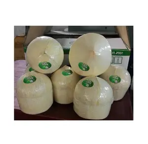 Vietnam Fresh Young Coconut/ Whole nut coconuts/ Diamond shape coco Good price WS +84 817092069