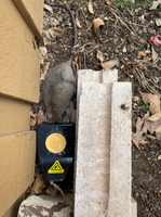 Piège à Souris en Plastique Personnalisable avec Logo, Anti-Rongeurs Puissant et Facile à Utiliser pour Intérieur et Extérieur