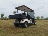 Chariot de golf électrique à moteur AC 4 places avec châssis renforcé, boîte de chargement lourde, puissance 5-6,3 kW pour terrains accidentés et ranchs
