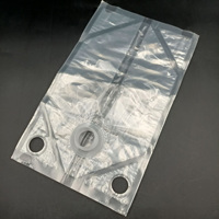 Sac souple transparent 3D personnalisé de 5L, 10L, 20L avec bec verseur et poignée, en PE, pour eau et détergent