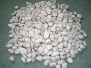 White <strong>Polished</strong> Types of Pebbles <strong>Stone</strong> Clean Serene Versatile Stones for Tranquil Gardens Water Features Decorative Landscaping - Product Image 3