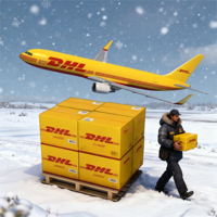 Service de colis Expédition Canada États-Unis Royaume-Uni Botswana Agent Chine DHL UPS FBA LCL Expédition express Australie Frais Dropshipping DDP