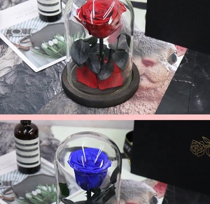 Fleur noire enchantée longue durée cadeau parfait <span class=keywords><strong>la</strong></span> <span class=keywords><strong>belle</strong></span> <span class=keywords><strong>et</strong></span> <span class=keywords><strong>la</strong></span> bête pour toujours conservée Rose éternelle dans un dôme en verre - Product Image 4