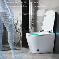 WC intelligent avec bidet, distributeur de mousse MaP 1000g, chasse d'eau automatique, siège chauffant, télécommande, siphon en S, allongé, en céramique, vente en gros