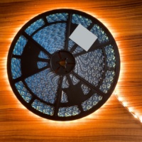 Lampe d'éclairage flexible de bande de lumière de bande de mur de l'installation facile LED fluorescente pour le caractère lumineux