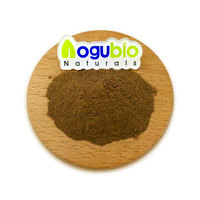 Extrait pur de feuille de kaki en poudre 95% tannine, qualité alimentaire, tannine naturelle de kaki, fourni directement par l'usine