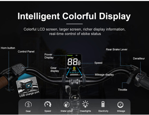 Bicicletta <span class=keywords><strong>Elettrica</strong></span> da Città OEM per Donna, Telaio Grande <span class=keywords><strong>28</strong></span> Pollici, 250W500D, Lunga Autonomia, 36V - Product Image 4