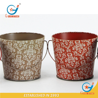 Pot de fleurs en métal pour l'extérieur de 0,3 gallon pour fleurs et décoration de jardin