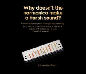 Armónica Trémolo Profesional de 10 Orificios, Cuerpo de Acero, Acabado Pulido, Tonalidad Personalizable en Do, Construcción Duradera, Marca OEM, Gran Venta - Product Image 5