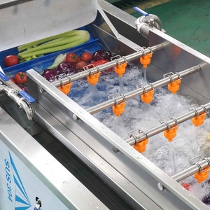 เครื่องล้างมะเขือเทศแบบฟองอากาศ 1000-1400 กก./ชม. เครื่องล้างมะเขือเทศแบบฟองอากาศแรงสูง - Product Image 4