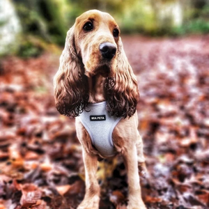 Fabricación OEM ajustable mascota perro <span class=keywords><strong>collar</strong></span> y correa arnés conjunto Tweed personalizado personalizar arnés para perro con correa - Product Image 5