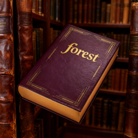 Boîte cadeau en papier écologique Forest Packing, impression personnalisée pour l'emballage avec logo, estampage à chaud doré, couvercle à rabat magnétique vintage