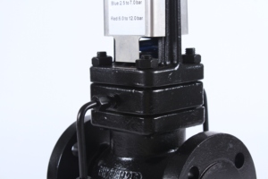 Reductor Spirax Sarco - Product Image 3