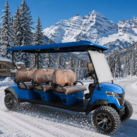 Voiturette de golf 6 places pour adultes, batterie lithium 60V, tout-terrain, électrique, contrôleur Curtis, quatre freins à disque
