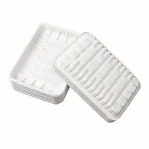 Hot Sale PP White Rectangular Vegetable Cold Fresh Meat Poultry Tray for Packaging
