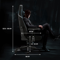 Chaise de bureau ergonomique inclinable et verrouillable noire OEM pour PC Gamer, chaise de bureau ergonomique Emperor pour PC, chaise de jeu PC