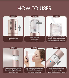 Mini Portable Pocket Handy Ion Disinfect Face Vapor Face Steamer Facial Nano Mist Sprayer Nano Spray