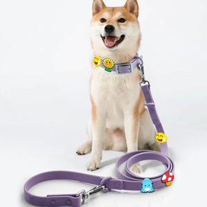 <span class=keywords><strong>2026</strong></span> Neues Maßgefertigtes Luxuriöses Langlebiges PVC-Silikon Wasserdichtes Verstellbares Hunde-Halsband und Leinenset DIY Großhandel - Product Image 6