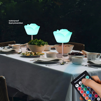 Nouvelle Lampe de Table LED Moderne en Fer Rose, Ambiance Romantique Intérieure, Veilleuse PE Télécommandée, Éclairage 16 Couleurs, Petite, Respectueuse des Yeux, DC