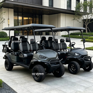 Voiturette de golf électrique 3 places (3-4 personnes) avec certification CE et structure en acier - Design rétro chinois, prix bas, autonomie 90 km - Product Image 1