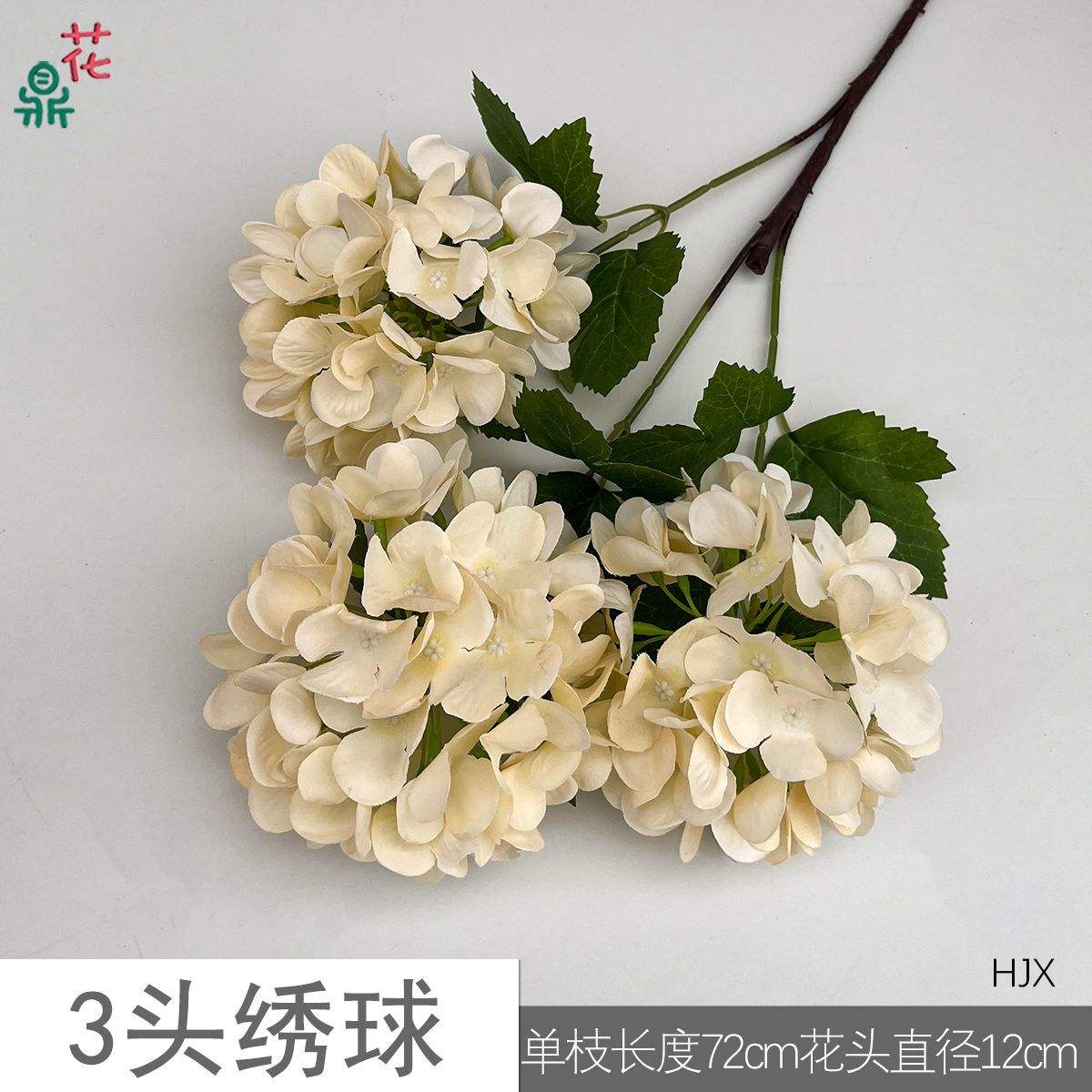 3สีแชมเปญไฮเดรนเยีย HJX