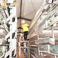 Vente directe usine : Système de cages automatiques pour poules pondeuses en acier galvanisé de type H pour l'élevage de volailles au Nigeria