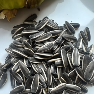 <span class=keywords><strong>Semillas</strong></span> <span class=keywords><strong>de</strong></span> <span class=keywords><strong>Girasol</strong></span> Secas Orgánicas Modelo 363, Bolsa <span class=keywords><strong>de</strong></span> 25 kg, Precio <span class=keywords><strong>de</strong></span> Fábrica, Se Puede Usar para Siembra - Product Image 6