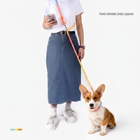 Ensemble laisse et collier pour chien, longueur 7,5 pieds, corde de traction en polyester et coton tressé faite à la main, multifonction, robuste, motif dessin animé adorable