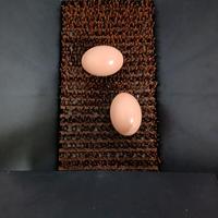 Tapis de nidification pour poulaillers, tapis de nidification en herbe artificielle, tapis de sol pour volailles, tapis de nidification pour poulets