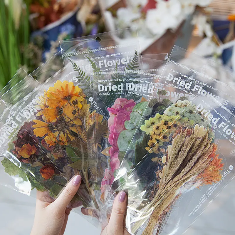 جميل الزهور زهرة مذكرات بطاقة لاصقة سكرابوكينغ ملصق حزمة كتيب الديكور