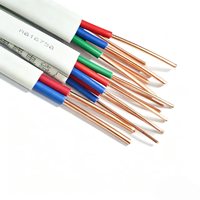Weißes Flexibles Gebäudekabel 0,75 mm 1,0 mm 1,5 mm 2,5 mm 3-adrig Kupferleiter 450V Nennspannung LED