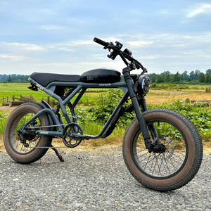 2025 Venta <span class=keywords><strong>caliente</strong></span> origen E bicicleta al por mayor 25ah/35ah batería de litio neumático gordo 20 pulgadas bicicleta eléctrica Vintage montaña E bicicleta - Product Image 2