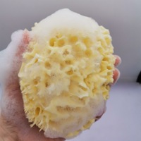 Emballage personnalisé éponge de mousse de mer douce 100% éponge de bain de bébé biodégradable éponge de mer naturelle