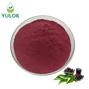 100% High Quality Elderberry Powder Anthocyanidins 25% Elderberry Extract Powder
