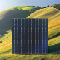 Module de cellule solaire monocristalline AHONY XY-DCP668210 12BB 210mm*210mm, cellules en silicium PERC de type N, panneaux solaires bifaciaux 23,2%