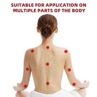 Patch de santé pour dispositif médical du nerf sciatique Application des jambes à bas prix Soulagement de la douleur Plâtre chinois