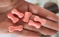 Ligne de production d'extrusion entièrement automatique pour aliments en granulés pour chiens et chats, machine professionnelle à moteur pour friandises à mâcher pour animaux de compagnie