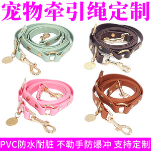 Correa de Perro Personalizada de PVC, Impermeable, Ligera, para Razas Pequeñas, para Paseos al Aire Libre, con Colores Personalizados y Opción de Marca Privada - Product Image 5