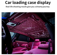 Kit d'éclairage à fibres optiques Mini RGB à effet de météore avec brins à éclat final pour plafond intérieur de voiture effet ciel étoilé
