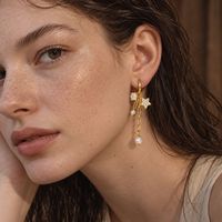 Boucles d'oreilles pendantes en acier inoxydable plaqué or 18 carats avec étoile, zircon et fleur pour femme