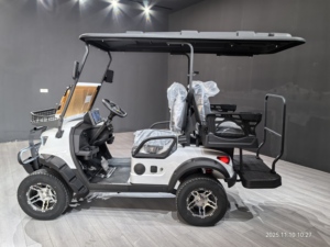WELIFTRICH Voiturette de golf électrique tout-terrain 3-4 places, batterie lithium 60V, entièrement étanche, pour la chasse et le tourisme, 30-50 km/h, autonomie 90 km - Product Image 2