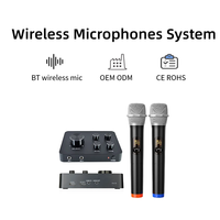 Micrófono Inalámbrico UHF para Karaoke Echo Plastic, Sonido Cristalino de 16 Canales, Alcance de 100 pies, Micrófono Inalámbrico Profesional de 2 Canales para el Hogar