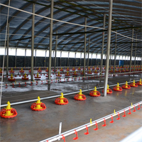Système d'alimentation automatique pour volailles, ligne d'alimentation des poulets de chair et ligne d'abreuvement, équipement d'élevage pour élevage de poulets