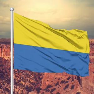 Werbeartikel Hohe Qualität und günstige Großhandel hitze beständig 3x5 ft Polyester Custom Ukraine Flagge