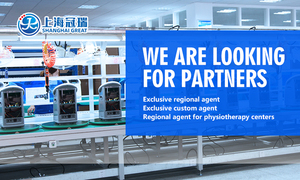 Fisioterapia de Medicina Tradicional China para Masaje de Cuerpo Completo que Alivia Lumbago, Dolor de Pierna, Espalda, Hombro, Cuello y Entumecimiento de Manos y Pies - Product Image 6